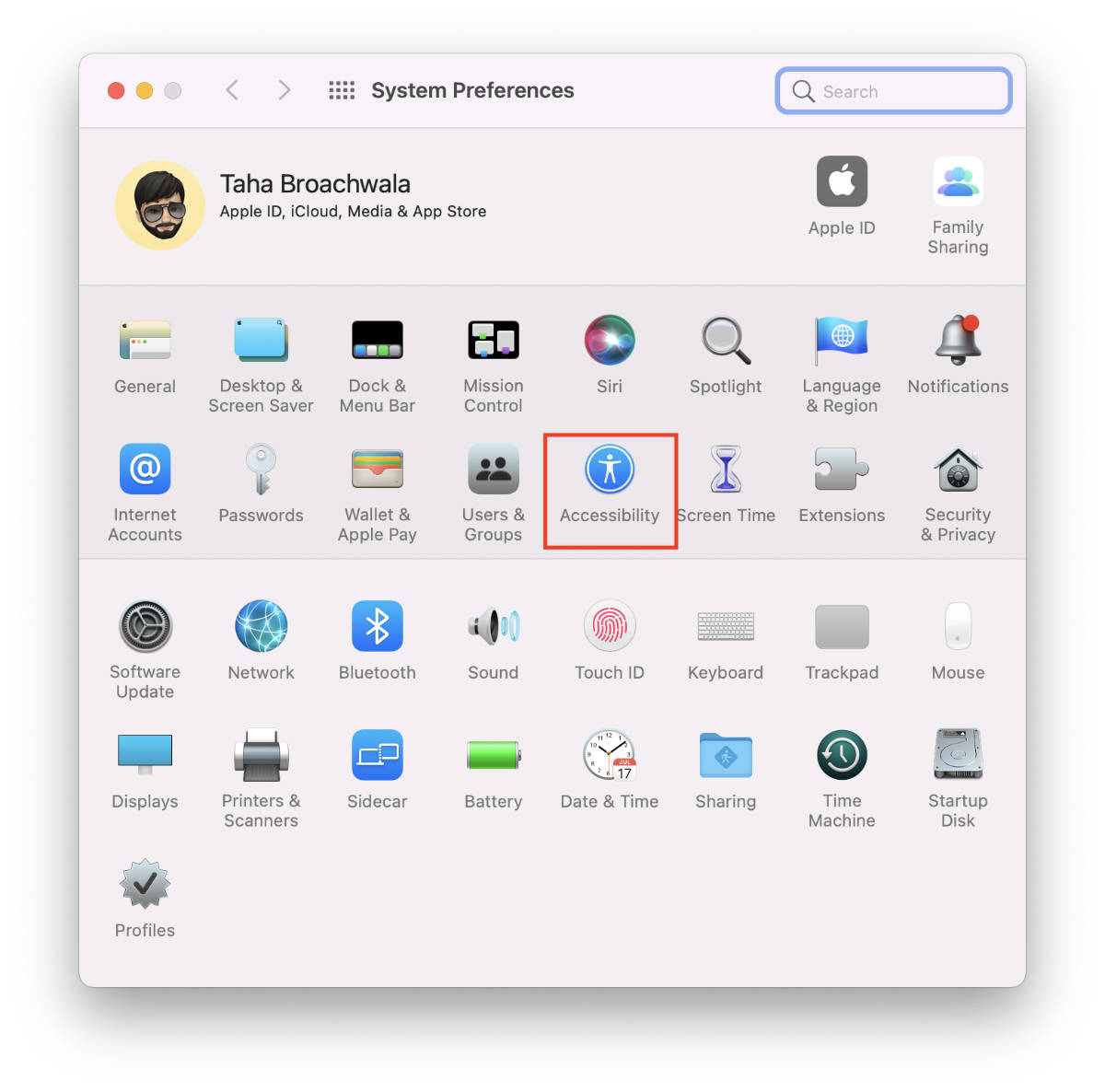 macOS Accessibility Preferences