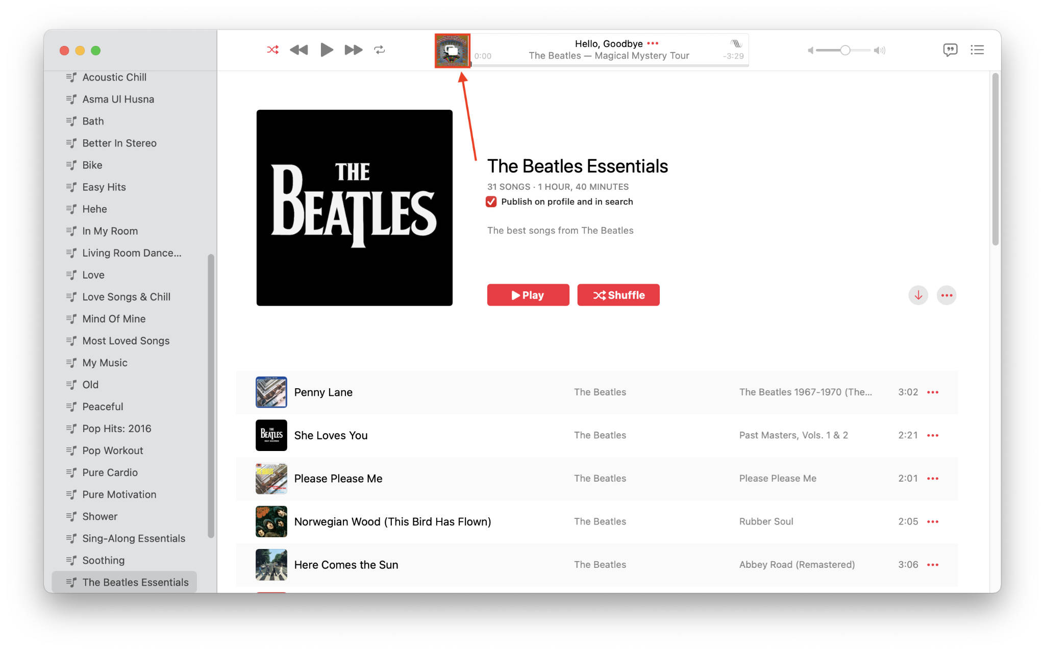 Apple Music App Album Art